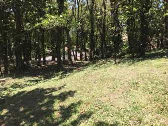 Wooded natural forest land in private mountain community Altos del María