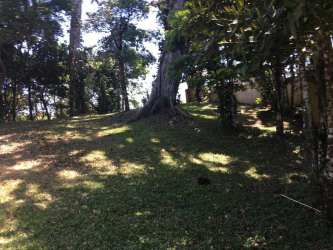 Large wooded lot in Altos del María with nature views Panama