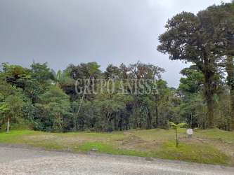 Forested mountain property Altos del Maria Valle Bonito Panama for sale