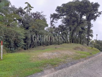 Forested lot for sale with mountain views in Altos del Maria Valle Bonito Panama