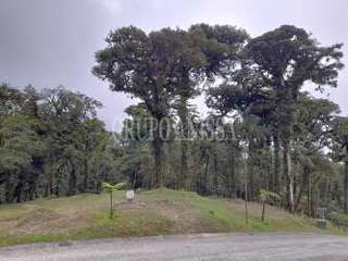 Land for Sale in Altos del María - 0 bedrooms