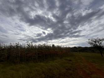 Open grassy land with tree, mountain views, cloudy sky, ideal agricultural land in Santiago Veraguas Panama