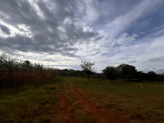 Open farmland with cornfield under a cloudy sky and solitary tree in Santiago de Veraguas Panama