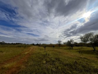 Open field with dirt path under cloudy sky surrounded by trees and grass near Santiago de Veraguas Panama