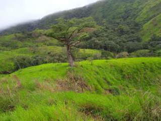 Land for Sale in Montijo - 0 bedrooms