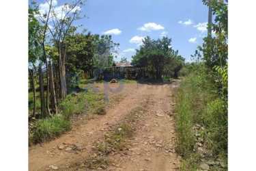 Dirt road access and grassland landscape with trees rural Veraguas Panama