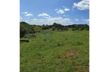 Open green fields with scattered trees in Sona Veraguas Panama countryside real estate