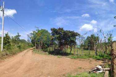 125,463 m² farm or development land panoramic countryside view near Santiago Panama