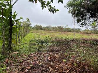 Forested river area at farmland boundary ideal for eco-retreat or livestock water source