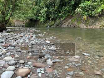 Small natural creek winding amidst trees and vegetation countryside in Panama