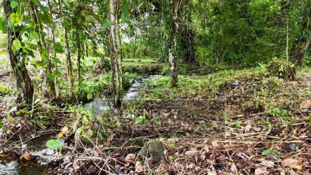 View of river among trees at countryside property in Chiriquí for agriculture or eco-retreat