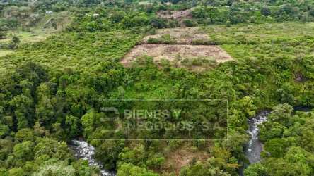 Lush Bugaba countryside land with streams and trees ideal for agriculture and cattle