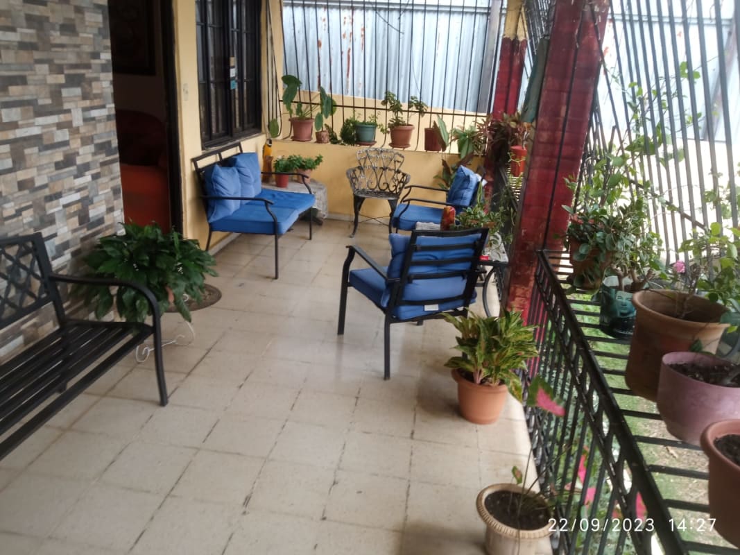 Outdoor patio with cushioned seating and greenery at San Francisco residential home for sale