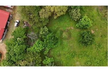 Outlined property area near residential zones and farmland in Mata de Limón David Panama