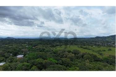 Lush farmland with trees suitable for subdivision and agriculture in Chiriquí Panama