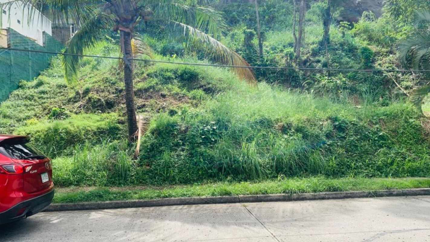 Vacant plot on sloped hill with palm trees in residential zone El Dorado Panama behind PriceSmart