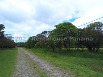 Countryside flat terrain with gravel road and trees in Calle Verde Potrerillos Arriba Panama