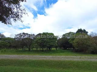Land for Sale in Boquete / Potrerillos Arriba - 0 bedrooms