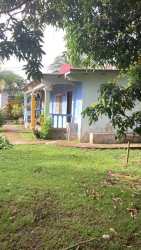 Large residential yard with green garden tropical plants in Penonomé