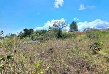 Open farmland ideal for coffee, cattle, or eco-development in Alto Boquete Chiriquí Panama