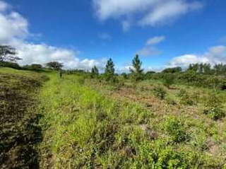 Land for Sale in Alto Boquete - 0 bedrooms