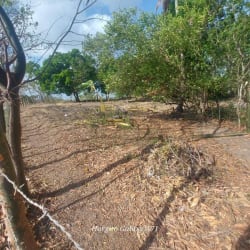 Flat open countryside land with natural vegetation and fence in Antón Coclé Panama