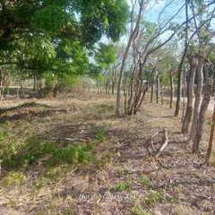 Land for Sale in Antón - 0 bedrooms