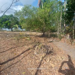 Open flat lot with shade trees ready for construction in El Chirú Antón Panama