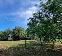 Land for Sale in Punta Barco - 0 bedrooms