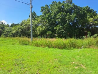 Vacant land with lush vegetation ideal for country home Panama
