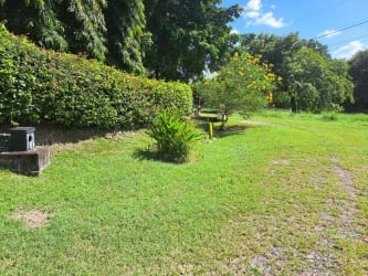 Clear lot bordered by trees ideal for residential home near Coronado Panama