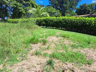 Grassy plot with trees in Villas Campestres Coronado area Panama