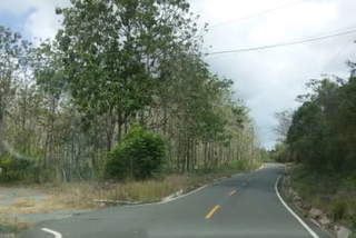 Land for Sale in Vista Alegre - 0 bedrooms