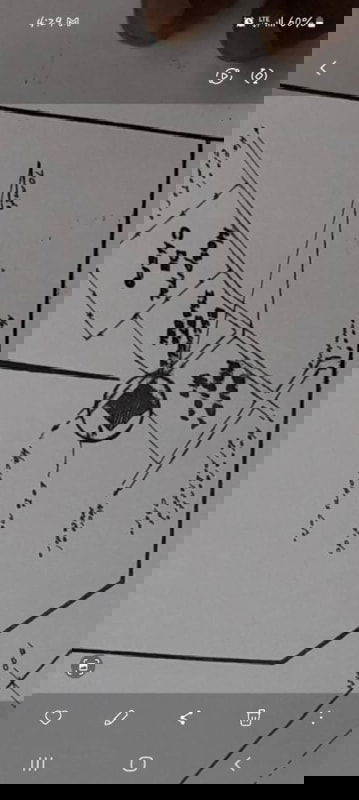 View of roadside access, fence, trees, and vehicles beside development lot Chepo Panama