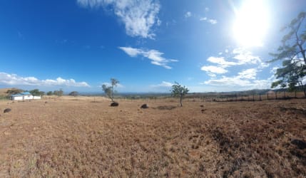 Wide open dry grassy field with mountain range, scattered trees, fencing Las Lajas Chame Panama