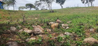 Land for Sale in Chame - 0 bedrooms