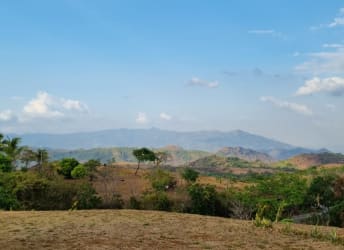 Panoramic view of mountain range with scattered trees scenic open land Las Lajas Panama