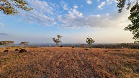 Expansive open countryside field with dry grass and trees under blue sky Las Lajas Panama