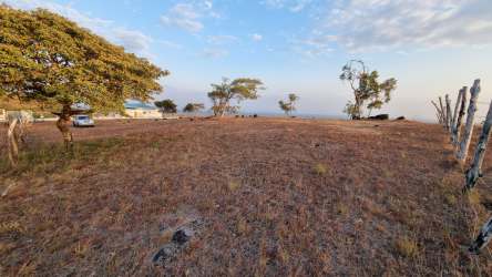 Open dry grassland fenced with trees, distant house, vehicle, panoramic sky in Las Lajas Panama