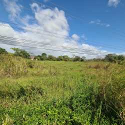 6,594 m² Land for Sale Interamericana El Caño Penonomé - View 2