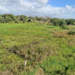 6,594 m² Land for Sale Interamericana El Caño Penonomé - View 6