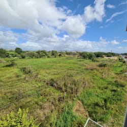 6,594 m² Land for Sale Interamericana El Caño Penonomé - View 4