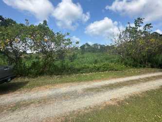 Large countryside lot with gentle slopes and roadside view Monteclaro Cerro Silvestre