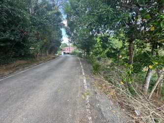 Undeveloped countryside lot with greenery and sloping land in Cerro Silvestre