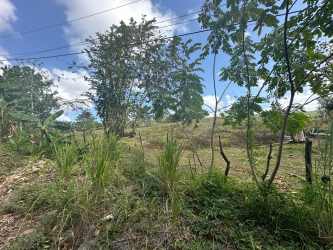 Natural terrain with scattered trees in rural Cerro Silvestre Panama