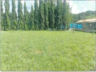 Grassy open space with trees ideal for residential development Quebradas de Cabuya Chame