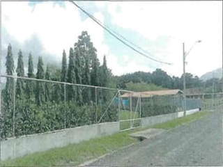 Land for Sale in Cabuya - 0 bedrooms