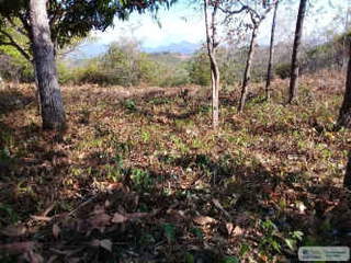 Land for Sale in El Espino - 0 bedrooms