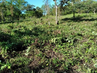 Large countryside land parcel in green setting with hills near El Valle Panama