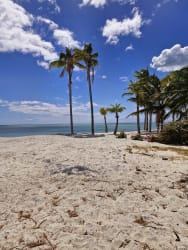 Palm-fringed sandy beach and Pacific ocean at luxury Buenaventura community